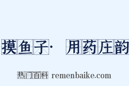 摸鱼子·用药庄韵是什么意思的图片